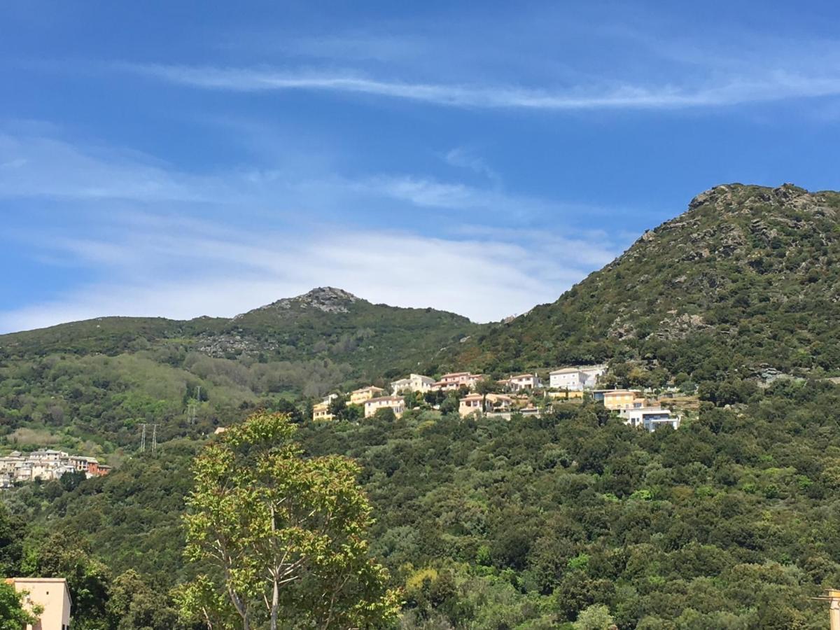 Charmant T2 Hauteurs De Bastia Bastia (Corsica) Exterior foto